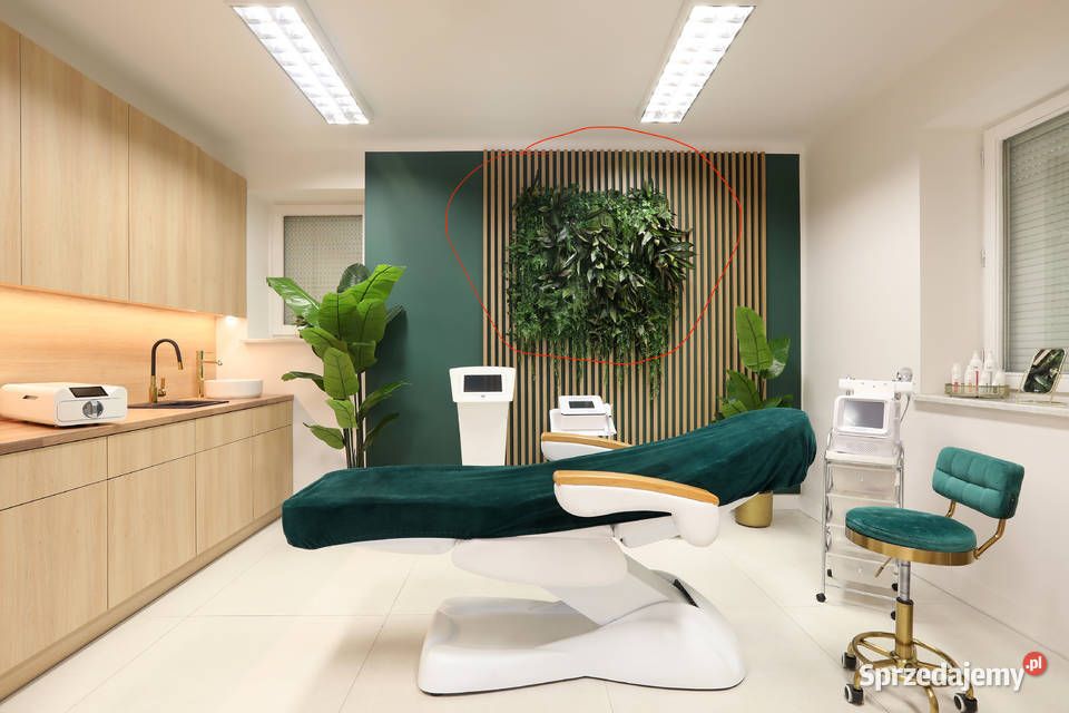 Sztuczna dekoracja zielona ogród wertykalny Dom i Ogród Kraków