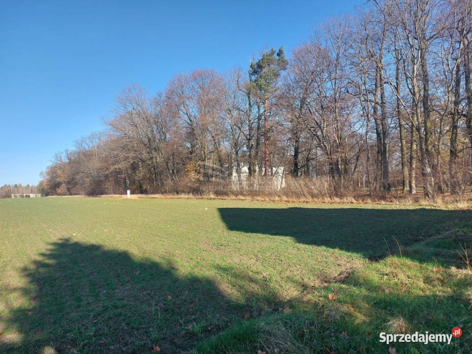 Działki budowlane Styrzyniec k Białej Podlaskiej