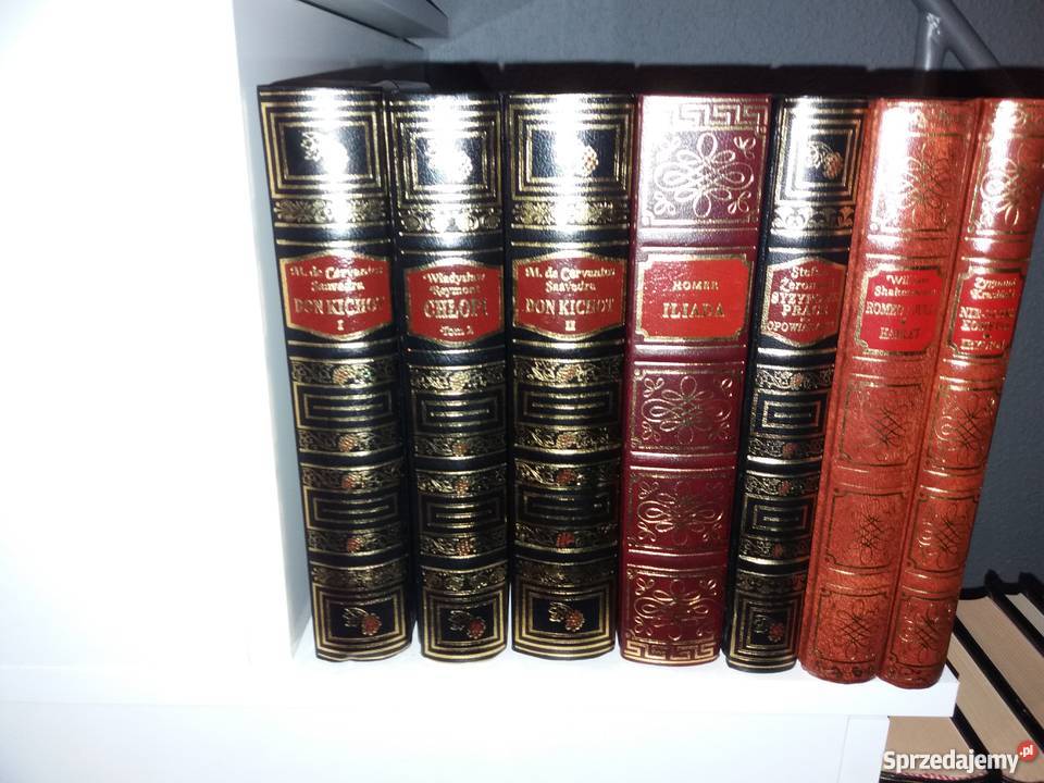 Piękna kolekcja literatury polskiej i światowej Lublin