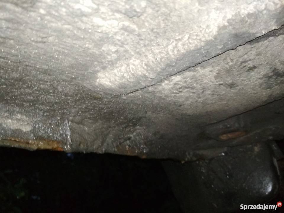 Przejściówka Polonez oryginalny srebrny nie siwy lakier metallic lubelskie Włodawa