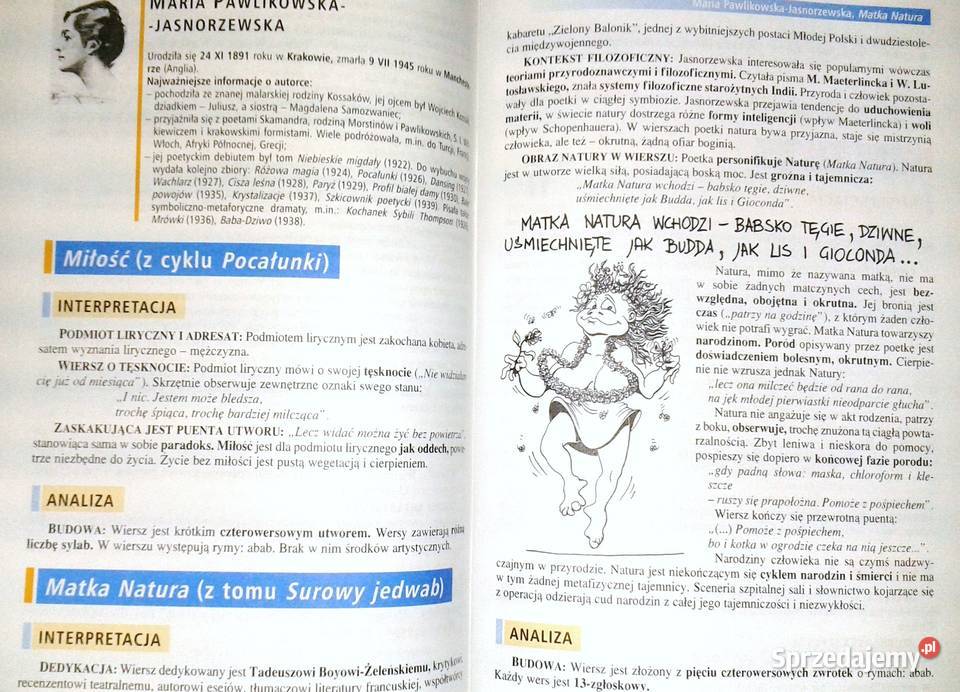 Mega Bryk Język polski 6 Dwudziestolecie Chełm