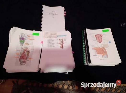 Sprzedam sktypty medyczne 3 lata licencjat Myszków sprzedam