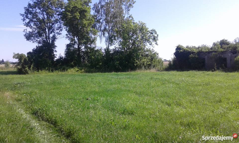 Sprzedam działkę Grunty i działki Lipniki Stare