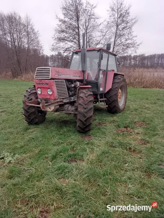 Ursus 12041614 Ursus sprzedam