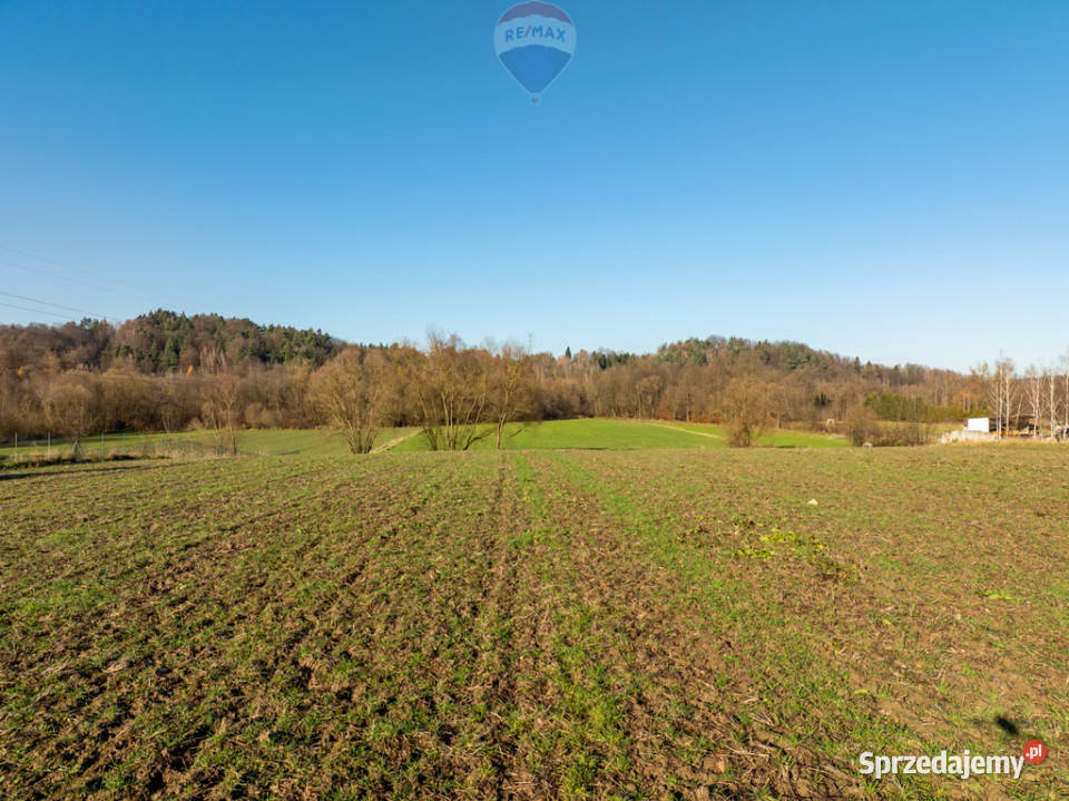 Grunt inwestycyjny Zysk przekształceniu 1 mln 30m Krzywaczka sprzedam