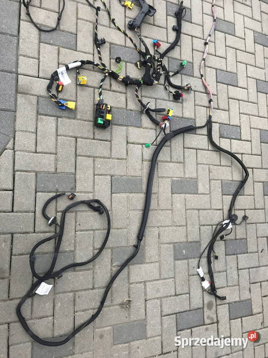 Expert III Vivaro Proance Jumpy III wiązka Barwałd Dolny