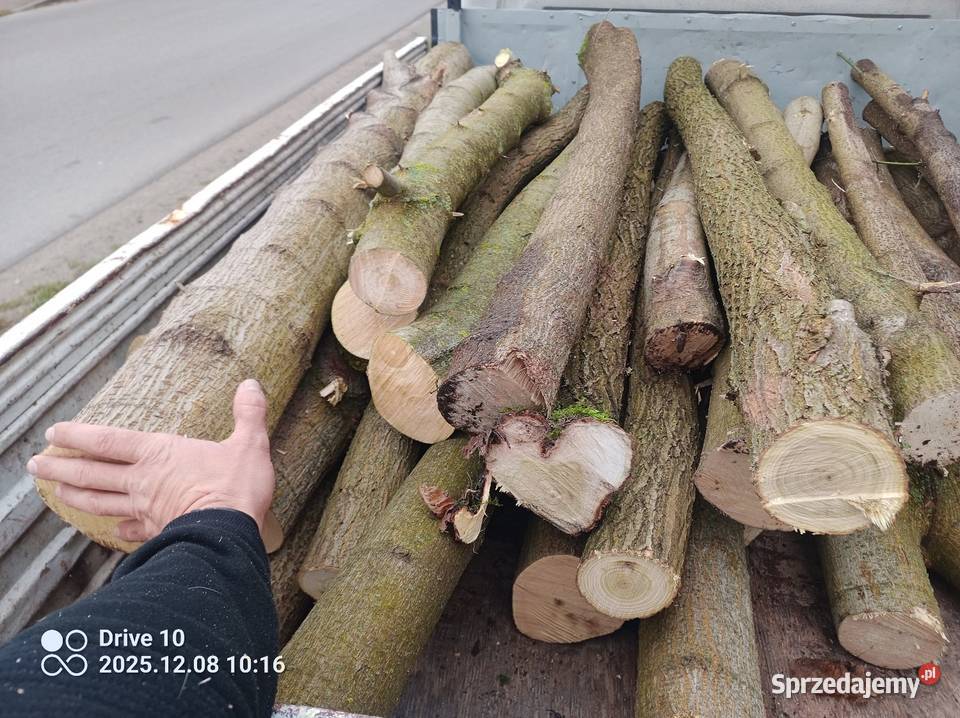 Sprzedam drewno opałowe Opał mazowieckie Radom sprzedam