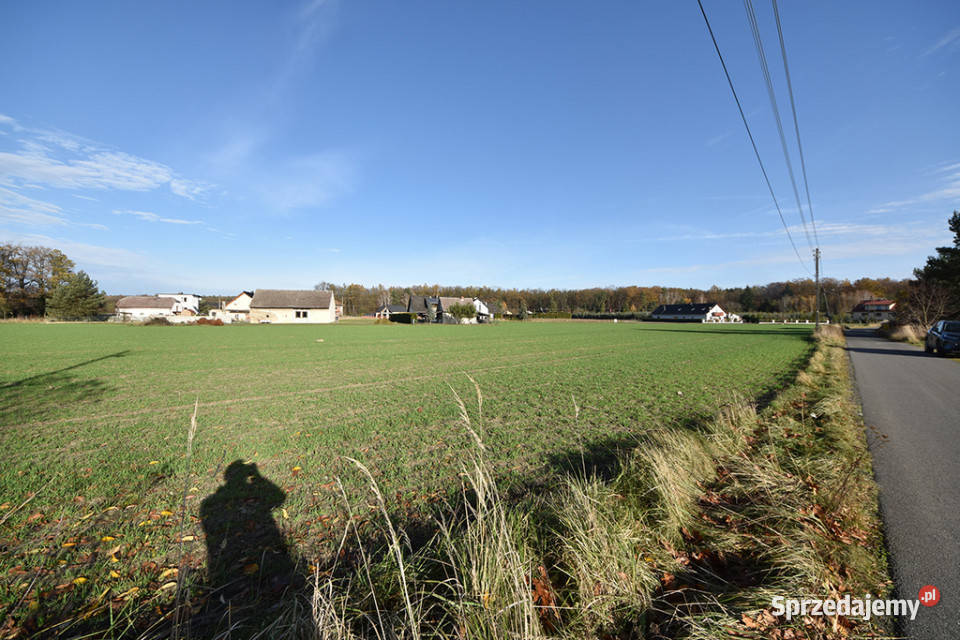 Duża działka budowlana 9051 m Turawa Marszałki sprzedam