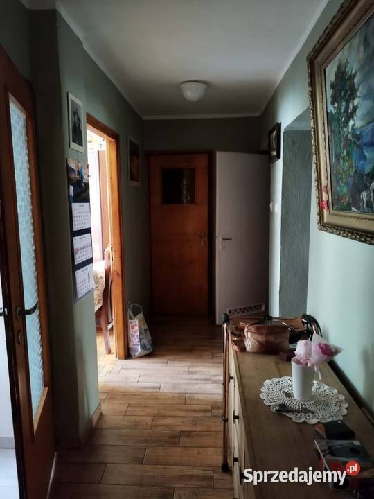 Mieszkanie SępaSzarzyńskiego Wrocław piwnica