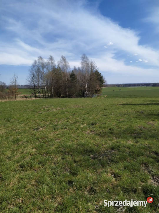 Działka budowlana 3942 m Myszków spokojna
