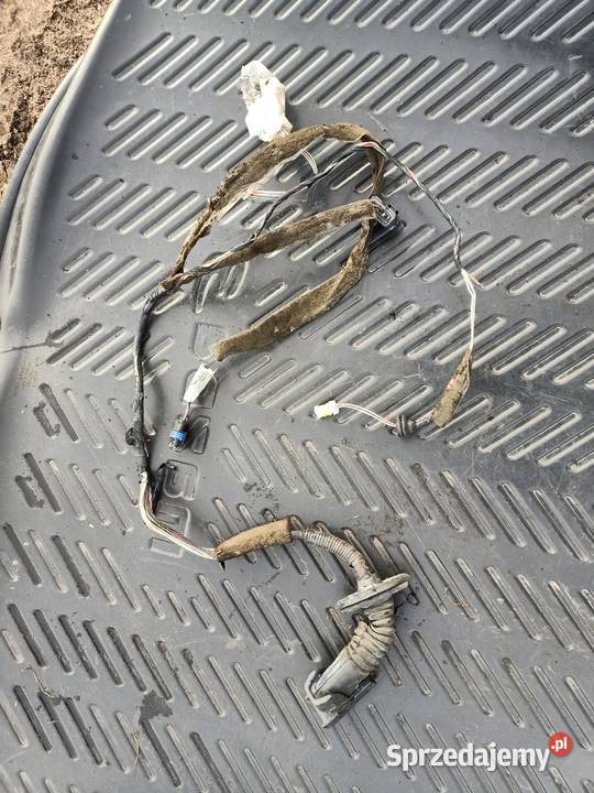 Wiązka drzwi prawy tył kompletna renault scenic zachodniopomorskie Szczecin