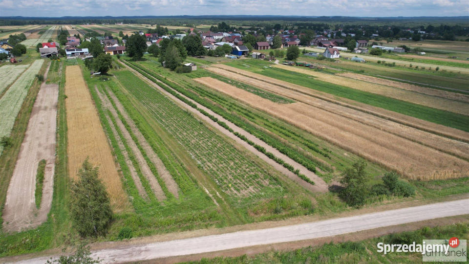 Działka Aleksandrów 2900m2