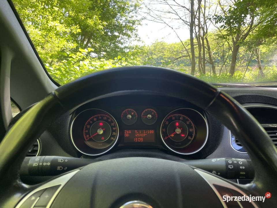 Fiat Punto 13 Multijet wielkopolskie