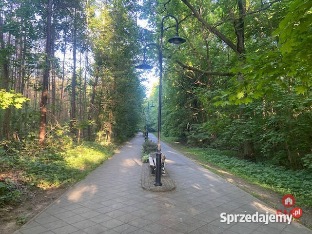 Mieszkanie sprzedam Augustów 256m2 1 pokój Liczba pokoi 1