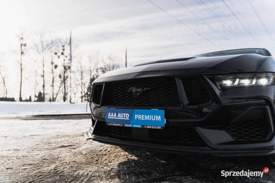 Ford Mustang GT V8 50 Katowice