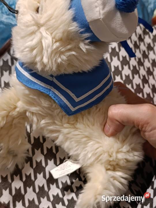 foka Dąbki zabawka pluszowa maskotka pluszak Poznań