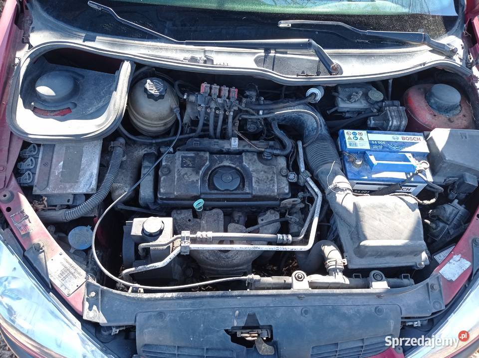 Peugeot 206 11 44 kW 2003 r dawca części Szklarka Myślniewska