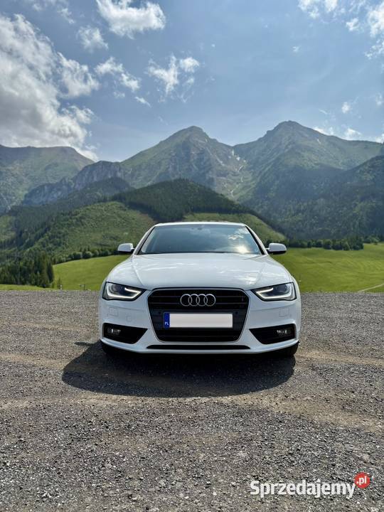 Audi A4 30 TDI Dynamic 2015 Kalisz