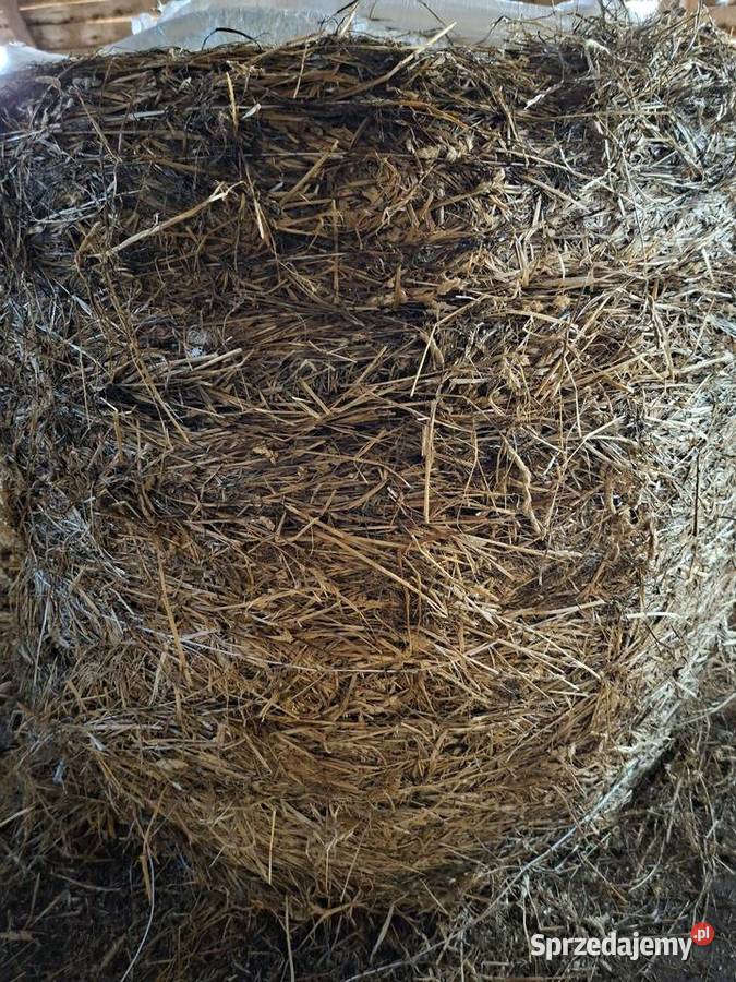 Baloty sianokiszonka Tolniki Wielkie