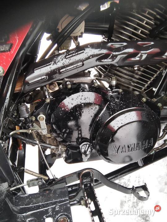Yamaha Big bear grizzly kingquad Yamaha śląskie Koniecpol