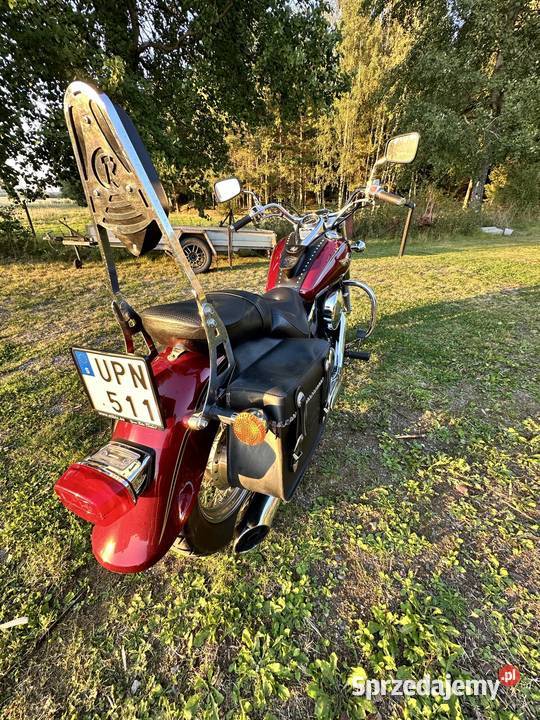 Triumph America