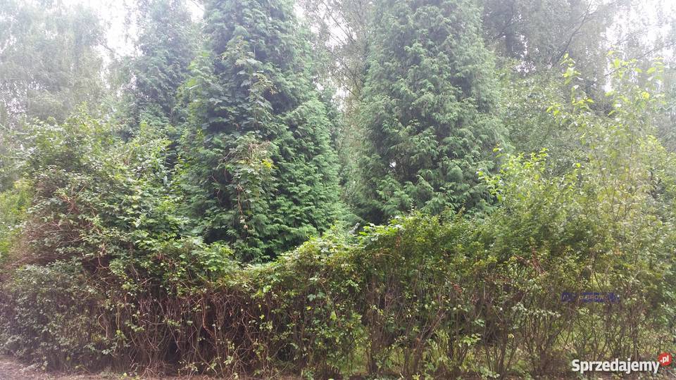 Działka w POD Wirnik Warszawa Bemowo 378m2 polna