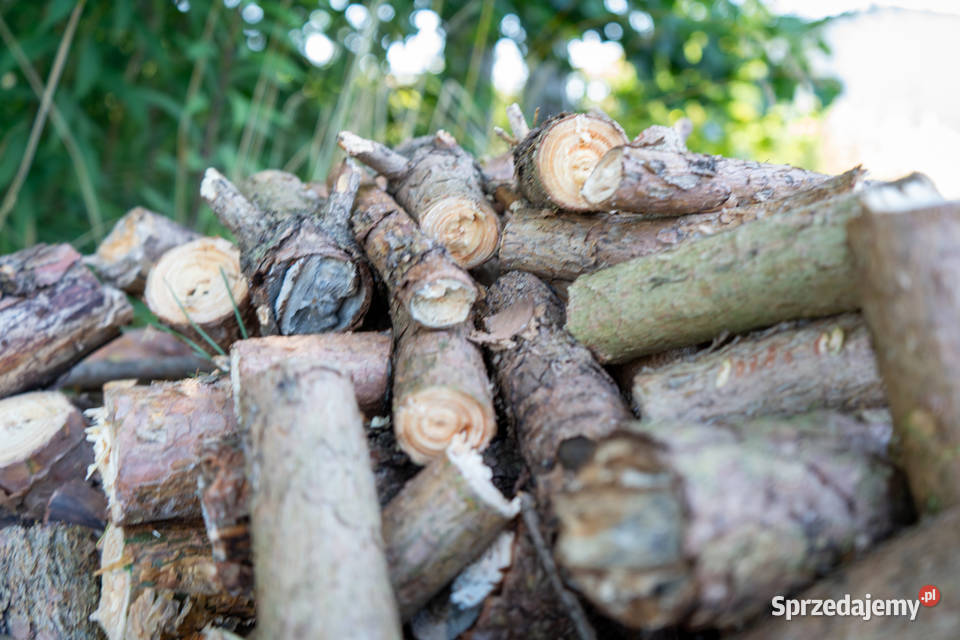 Rębak walcowy REMET R100 rozdrabniacz do gałęzi Łowisko