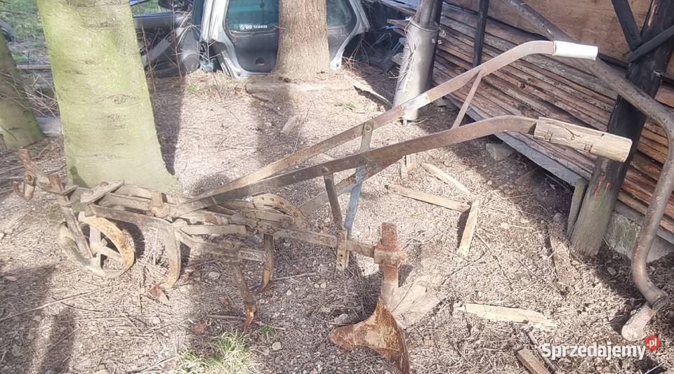 Obsypnik konny do rządków płóżek Klecza Dolna