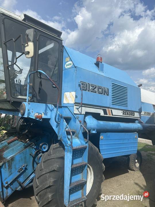 Sprzedam bizona nieuszkodzony Lubartów