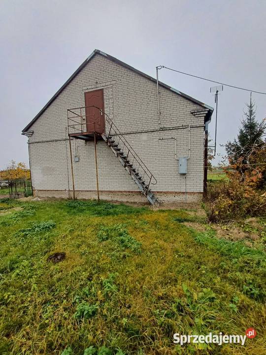 Sprzedam siedlisko z domem i budynkiem cegła Białuty sprzedam