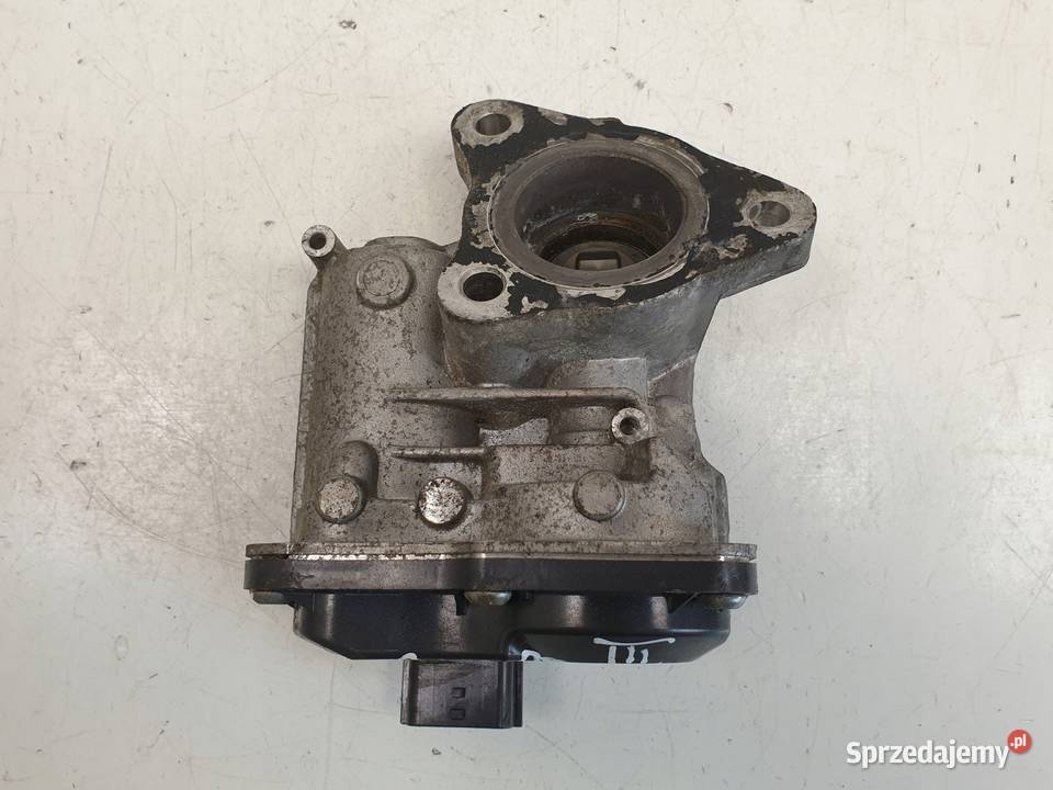 Renault Kangoo III 15 DCI ZAWÓR EGR H8201143495 Rudka