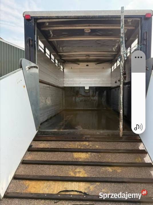 MAN L2000 do transportu przewozu żywca bydła Giżyn