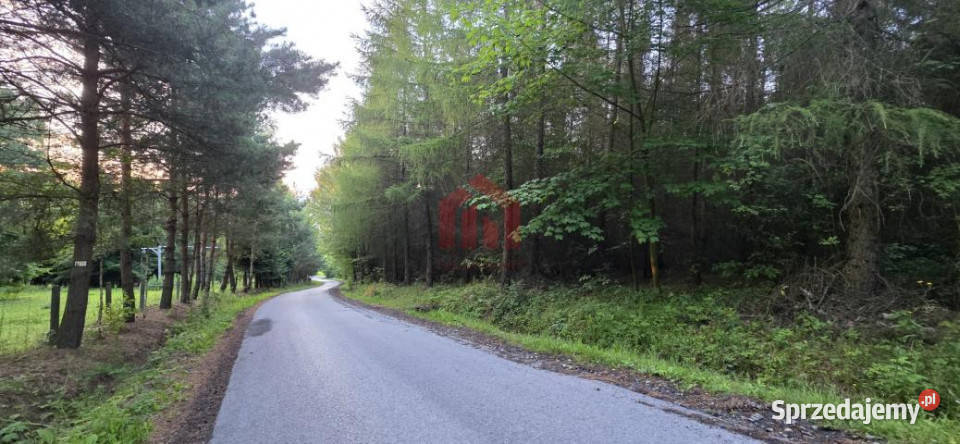 Sprzedaż działki 8500m2 Gogołów