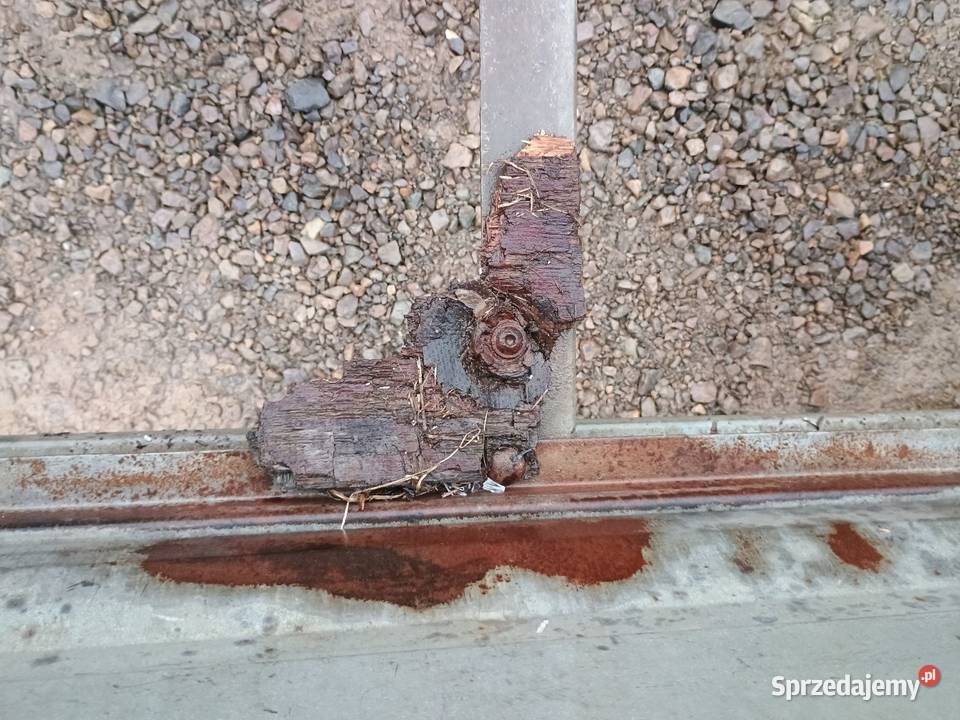 Przyczepka Przyczepa samochodowa bez prawa sprzedam