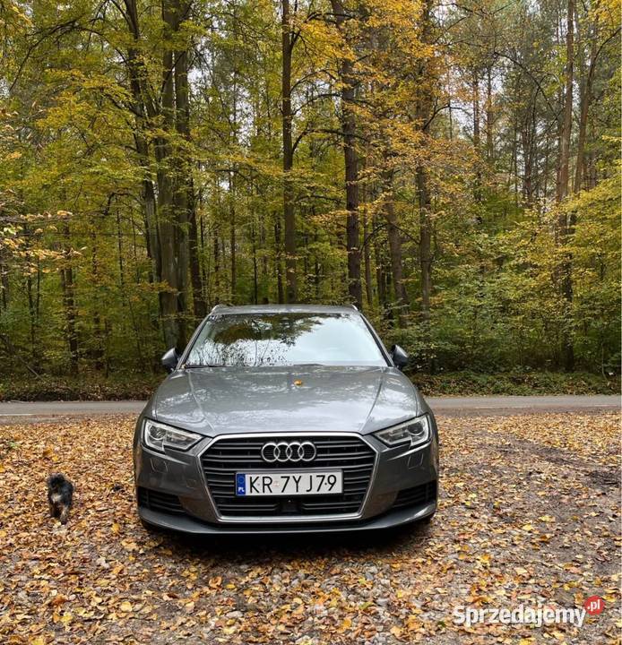 Audi A3 8v 16 TDI V8 Tenczynek sprzedam
