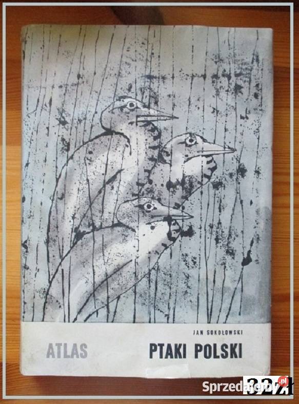 Wielki atlas ryb ryby ptaki dinozaury gady ssaki biologia, ekologia