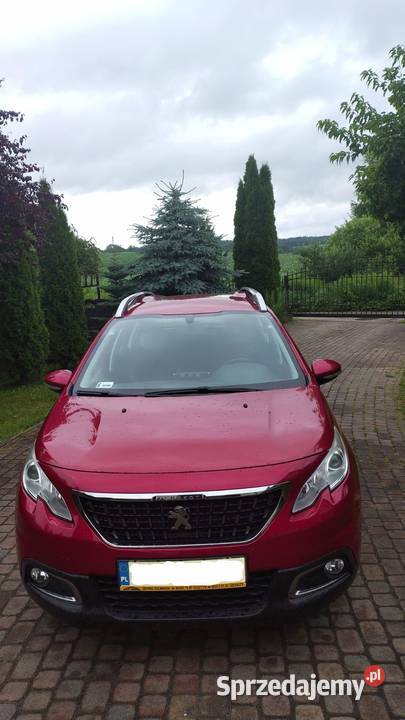 Peugeot 2008 I 12 I 9 lat w jednych rękach