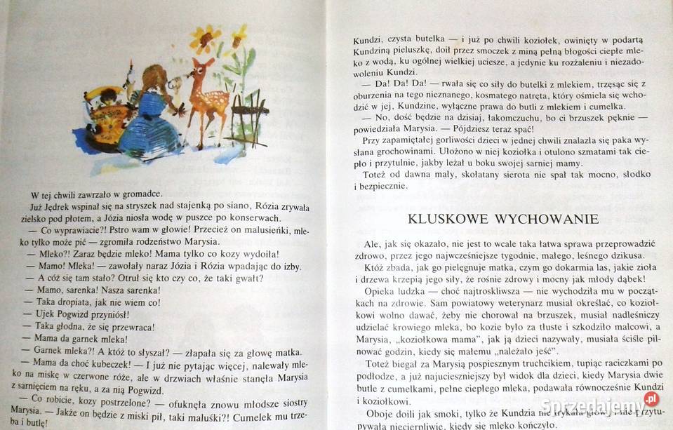 Rogaś z Doliny Roztoki Maria Kownacka Chełm