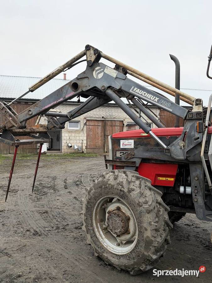 Massey Ferguson 3060 mazowieckie