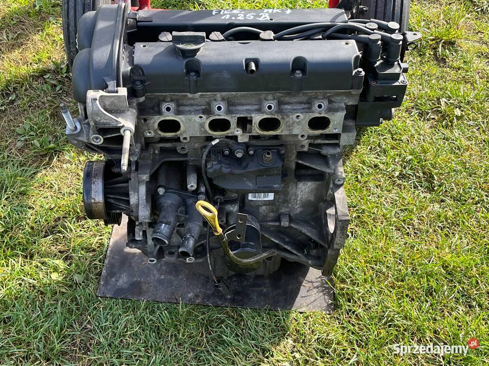 Ford Fiesta Mk7 125 16V Silnik osobowe Pozostałe Złoczew