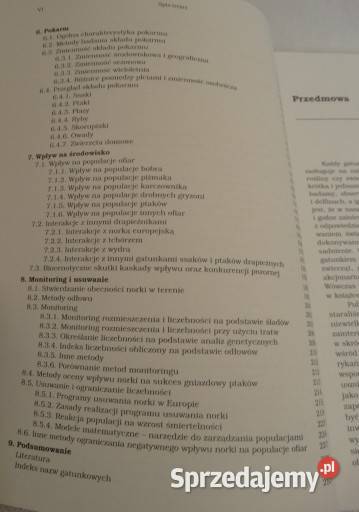 Norka amerykańska Biologia gatunku inwazyjnego biologia, ekologia świętokrzyskie Ostrowiec Świętokrzyski