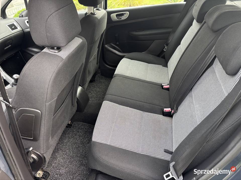 Peugeot 307 16 benzyna 2006 benzyna Sieradz