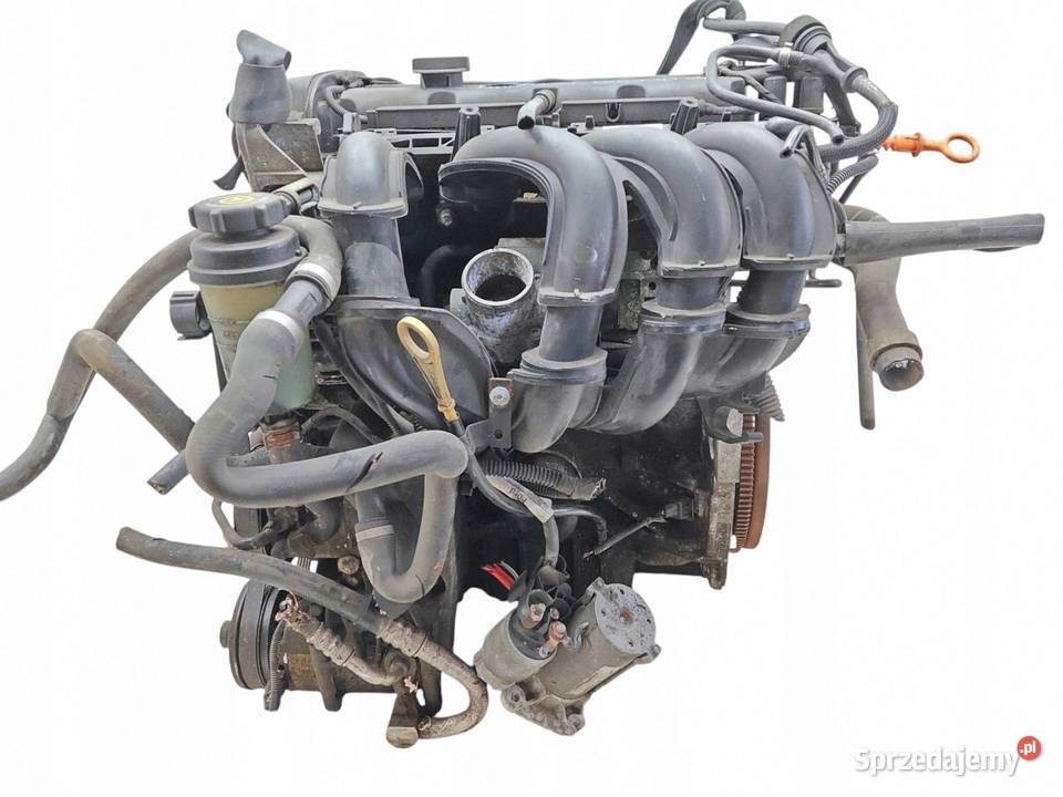 Ford Focus MK2 Silnik Kompletny Palony SHDA 99 Opole Lubelskie sprzedam