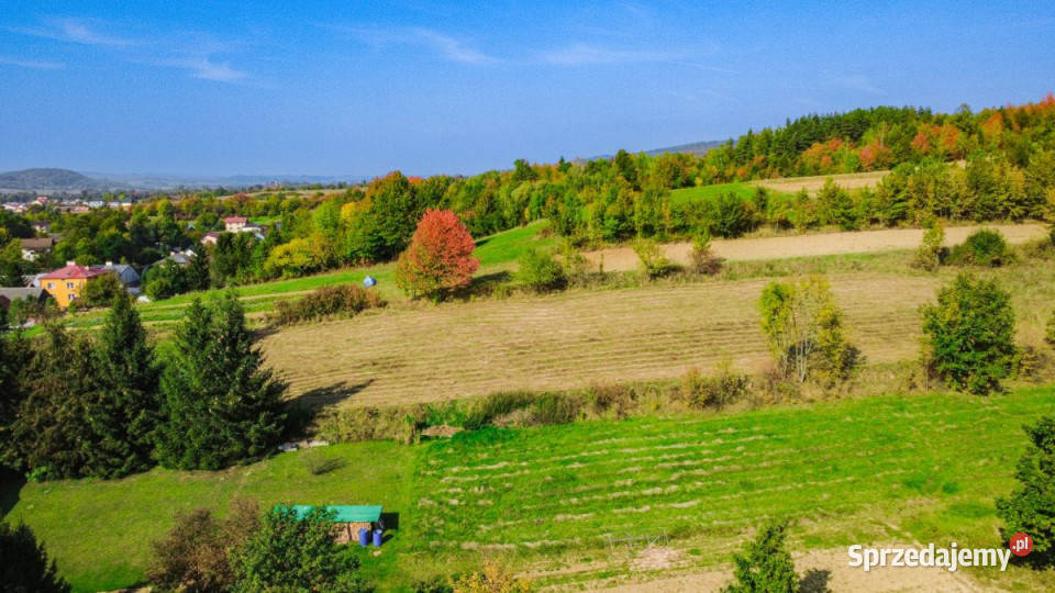 Działka Niebieszczany 251792m Nieruchomości
