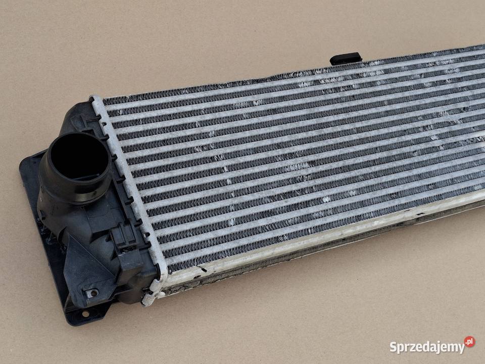 MERCEDES SPRINTER W906 CRAFTER INTERCOOLER dostawcze Bieleń