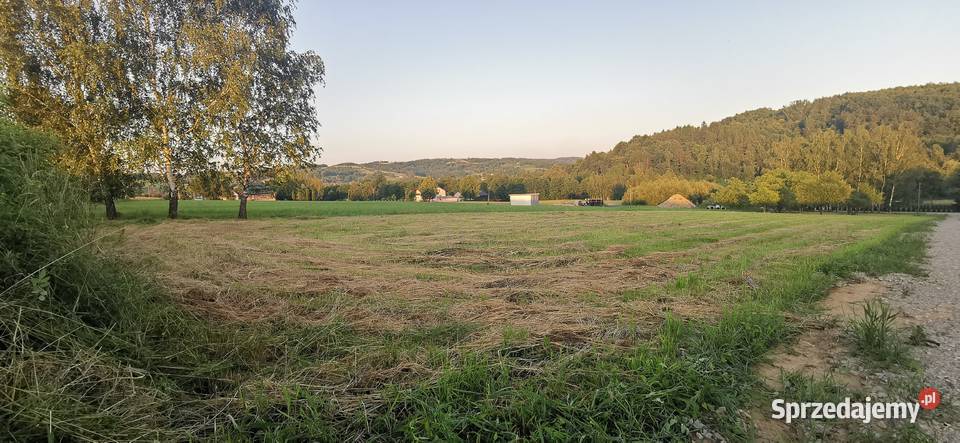 Działka z pięknym widokiem w spokojnym miejscu 2700m2 Nowy Borek