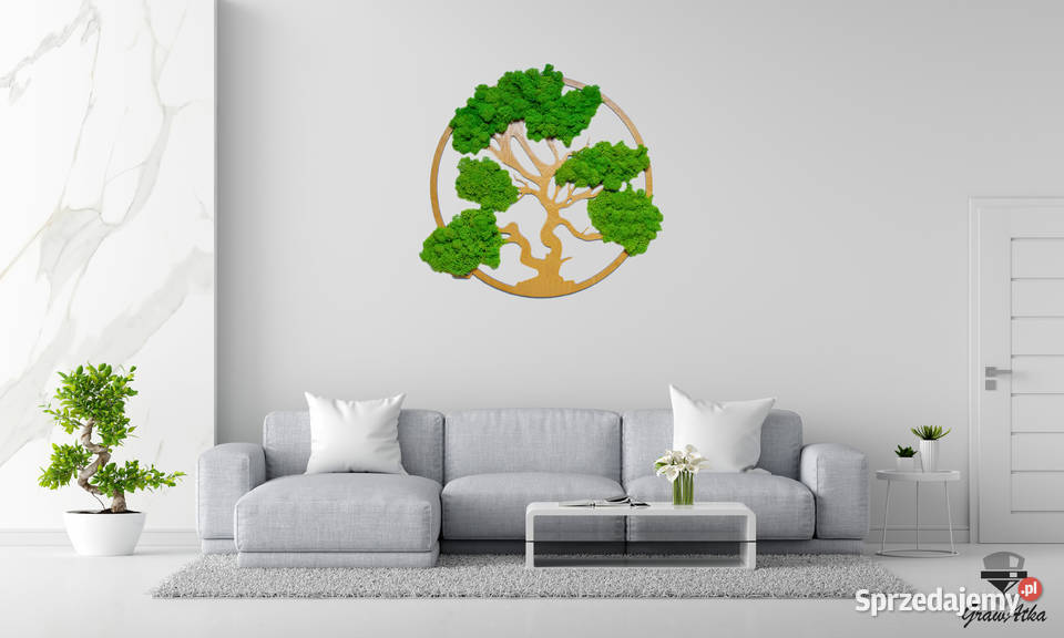 Drzewo Życia Szczęścia Bonsai Mech Chrobotek 30 Kłomnice