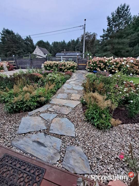 księżycowy łupek wielkopłytowy Księżyce