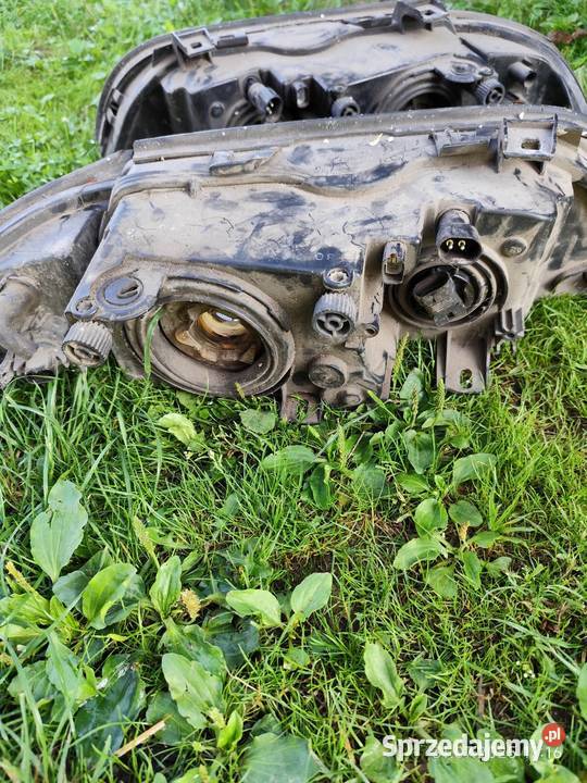 Lampy BMW E39 przód świętokrzyskie Baćkowice sprzedam