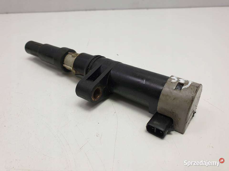 Renault Scenic II 14 16V CEWKA ZAPŁONOWA Motoryzacja Janów